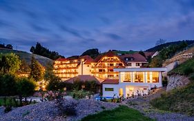 Hotel Ludinmühle Freiamt